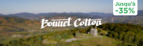 De Moulin-à-Vent à Brouilly, l’excellence des vins du Beaujolais