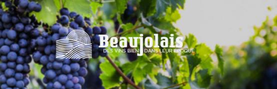 Le Beaujolais, vins de notre époque