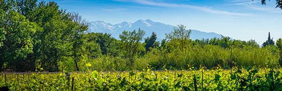 Best of Languedoc-Roussillon