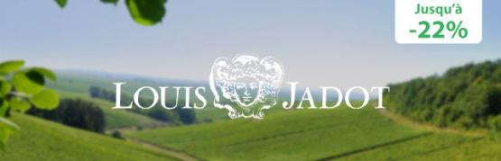 Bourgogne authentique : Savigny-Lès-Beaune, Rully et Beaune Premier Cru