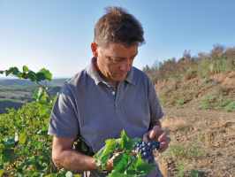 Domaine Saint Antonin