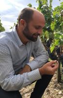 Château Laffitte Carcasset