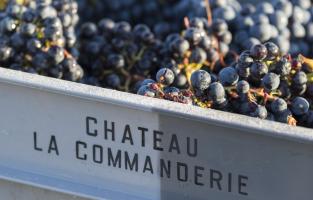 Château De La Commanderie