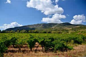 DOMAINE DE LA COMBE GRANDE