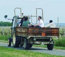 Frédéric Bourgouin