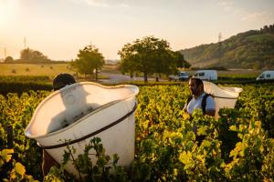 Le Piton de Sancerre