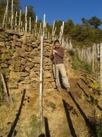 Benoît Roseau - Clos du pigeonnier