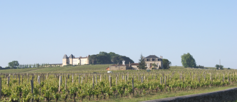 Vignobles Dourthe - Château Lafon