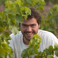 Domaine Olivier Pithon