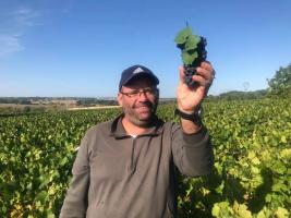 Domaine Philippe Tupinier