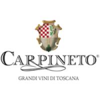 Carpineto