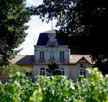 Château Grand Clapeau Olivier