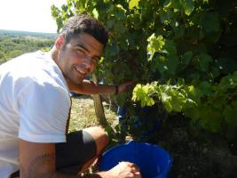 Domaine Jonathan Didier Pabiot