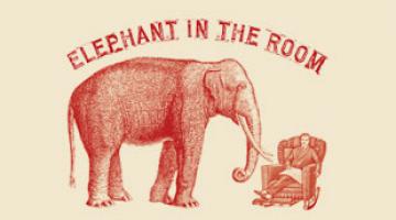 Elephant In The Room