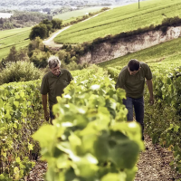 Champagne Chassenay d’Arce