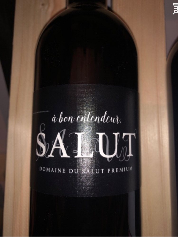 Achat Vin A Bon Entendeur Salut Rouge Domaine Du Salut Graves Meilleur prix