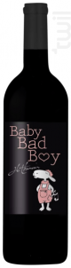 Baby Bad Boy - Domaine Virginie Thunevin - 2020 - Rouge