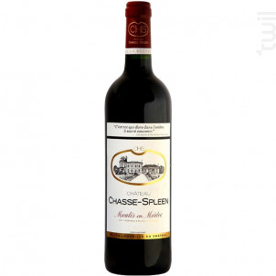 Château Chasse-Spleen - Château Chasse-Spleen - 2019 - Rouge