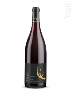 Les Archanges Pinot Noir - Collection - Maison Colin Seguin - 2022 - Rouge