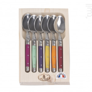 Coffret 6 Cuillères À Café Laguiole Irisées Assorties - jean dubost -  - 