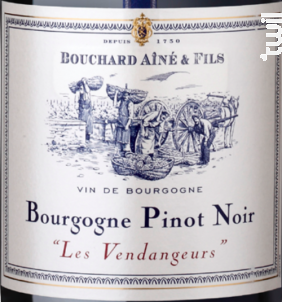 Bourgogne Pinot Noir Les Vendangeurs - Bouchard Aîné et Fils - 2014 - Rouge