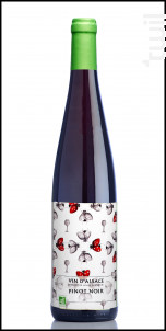 Pinot Noir Bio Réserve - Cave de Ribeauvillé - 2021 - Rouge