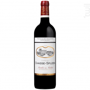 Château Chasse-Spleen - Château Chasse-Spleen - 2017 - Rouge