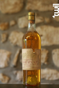 Domaine J Truilhe - Domaine J Truilhe - 1952 - Blanc