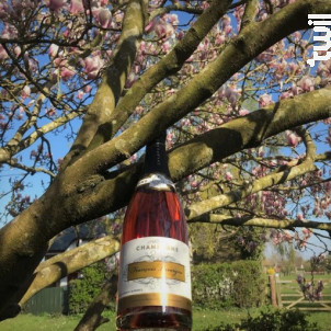 Rosé François Lavergne - Champagne François Lavergne - Non millésimé - Effervescent