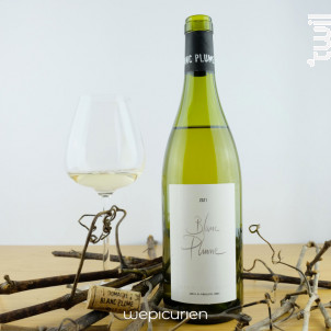 Domaine Blanc Plume Blanc Plume - Rémy et Raphaël Colin - 2023 - Blanc