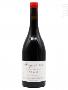 Côte Du Py - Jean Foillard - 2023 - Rouge
