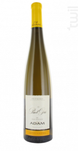 Pinot Gris 