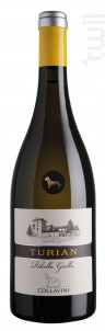 Turian Ribolla Gialla - Eugenio Collavini - Non millésimé - Blanc