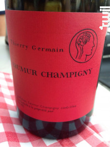 Thierry Germain Saumur Champigny - Thierry Germain - Domaine des Roches Neuves - 2021 - Rouge