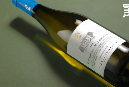 Fattoressa Maddalena - Villa Cosmiana - 2020 - Blanc