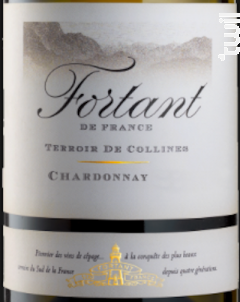 Terroir de Collines Chardonnay - Fortant de France - 2015 - Blanc