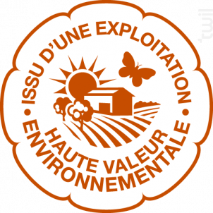 Château l'Enclos Réserve - Château L'Enclos - 2020 - Rouge