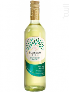 Blossom Hill Sauvignon - Blossom Hilll - 2022 - Blanc