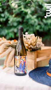 Viognier Scène n°6 - Domaine Ricardelle de Lautrec - 2024 - Blanc