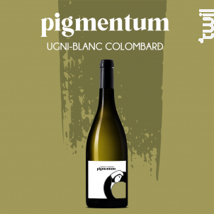 Pigmentum Ugni Blanc/colombard - Georges Vigouroux - Pigmentum - 2021 - Blanc
