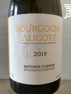 Bourgogne Aligoté - Charmocort - Maison Antonin Cosnier - 2019 - Blanc