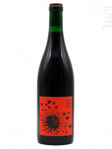 Beaujolais Villages - Romuald Valot - 2022 - Rouge