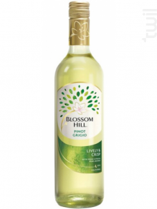Blossom Hill Pinot Grigio - Blossom Hilll - 2022 - Blanc