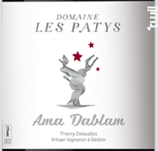 AMA DABLAM - Domaine Les Patys - 2016 - Rouge