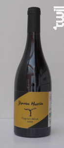Flagrant Délice - Domaine Huvelin - 2020 - Rouge