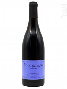 Bourgogne  Rouge - Domaine Sylvain Pataille - 2023 - Rouge