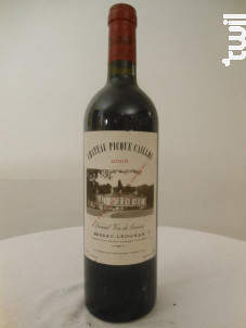 Château Picque Caillou - Château Picque Caillou - 2019 - Rouge