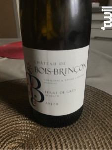 Terre de Grès - Château Bois Brinçon - 2017 - Blanc