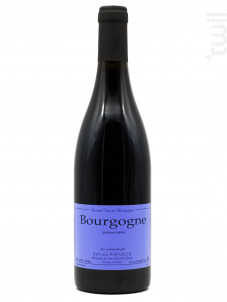 Bourgogne  Rouge - Domaine Sylvain Pataille - 2022 - Rouge