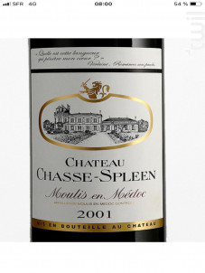 Château Chasse-Spleen - Château Chasse-Spleen - 2001 - Rouge